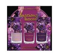 Markwins Colorhaus Luscious Blooms Set 3 Smalti per unghie