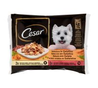 Cesar Delizie Del giorno selezione in gelatina per cane con pollo carote e manzo verdure 4 buste x 100 g