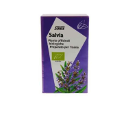 Salvia Bio tisana 15 filtri