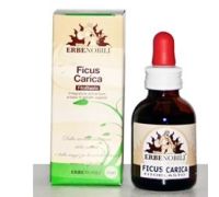 FITOBLASTO FICUS CARICA 50ML