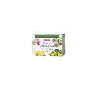 Naturplus tisana depur-attiva 20 filtri