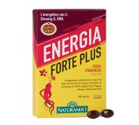 ENERGIA FORTE PLUS 40PRL