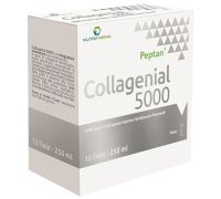 Collagenial 5000 integratore di collagene idrolizzato 10 fiale 25ml