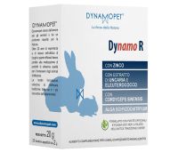 Dynamo R alimento complementare per conigli d'affezione ed animali esotici 20 bustine appetibili da 2 grammi