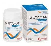 Glutamax advanced mangime complementare per cani 30 compresse appetibili