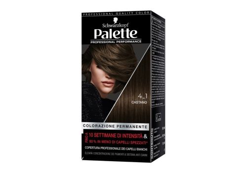 Palette Professional Performance Colorazione Permanente 4.1 Castano