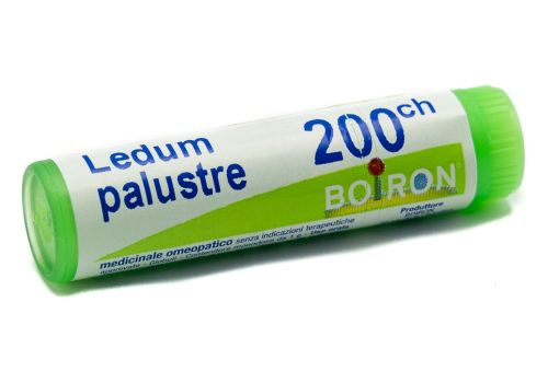 BOIRON LEDUM PALUSTRE 200CH GLOBULI 1G