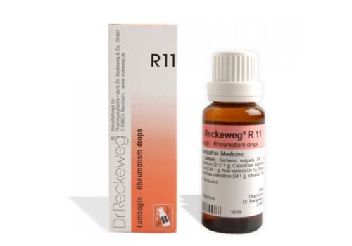 RECKEWEG R11 GOCCE 22ML