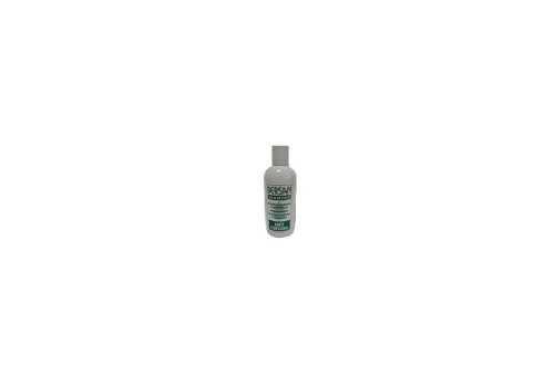 Bersan lozione antiforfora 250ml