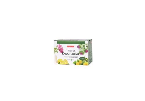 Naturplus tisana depur-attiva 20 filtri