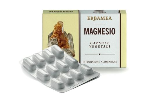 MAGNESIO 24CPS 1200MG