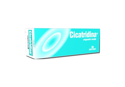 CICATRIDINA UNGUENTO NAS 15G