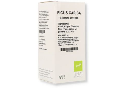 Ficus Carica 10% macerato glicerico 100ml