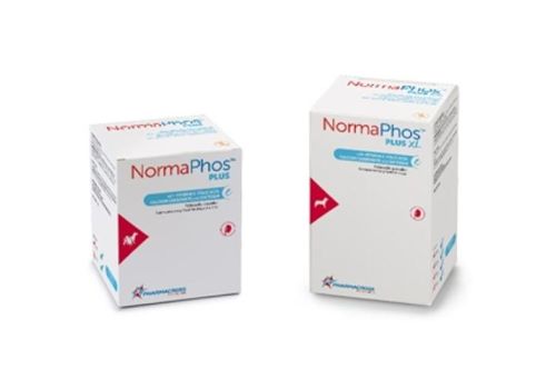 Normaphos Plus XL mangime complementare di vitamine e minerali per cani e gatti polvere orale 90 grammi