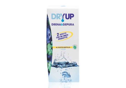 DRYUP MIRTILLO 300ML