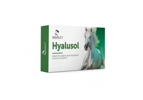 Hyalusol aerosol per cavalli 10 flaconcini 8ml