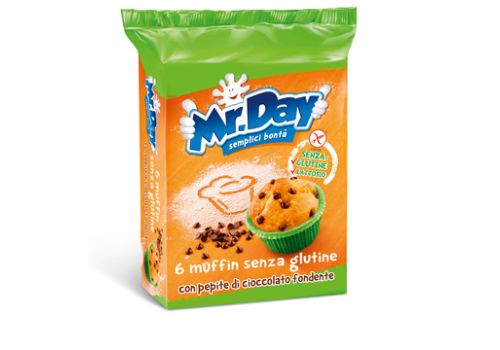 MR DAY MUFFIN C/PEPITE CIOC SG