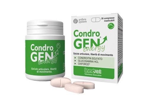 Condrogen Energy mangime complementare per la salute articolare dei cani 30 compresse masticabili