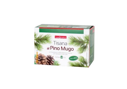 Naturplus tisana al pino mugo per il benessere di naso e gola 20 filtri