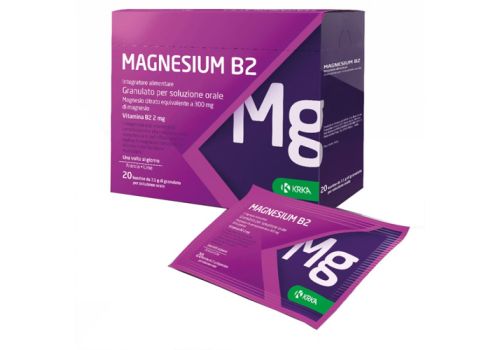 Magnesium B2 300/2mg 20 bustine