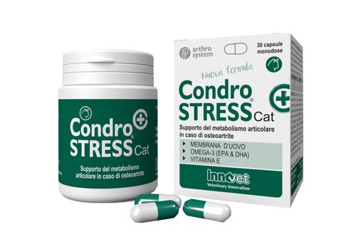 Condrostress Cat+ supporto del metabolismo articolare in caso di osteoartrite dei gatti 30 capsule monodose