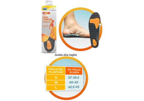 SCHOLL PLANTARE LOMBARE M 2PZ