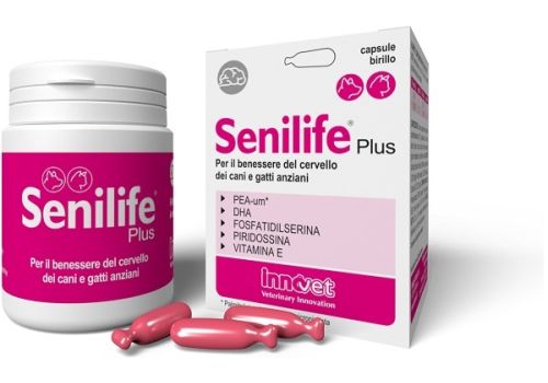 Senilife Plus mangime complementare per il benessere del cervello di cani e gatti anziani 30 capsule birillo