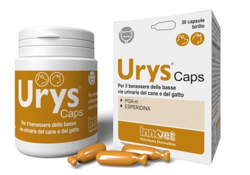 URYS CAPS 30 CAPSULE